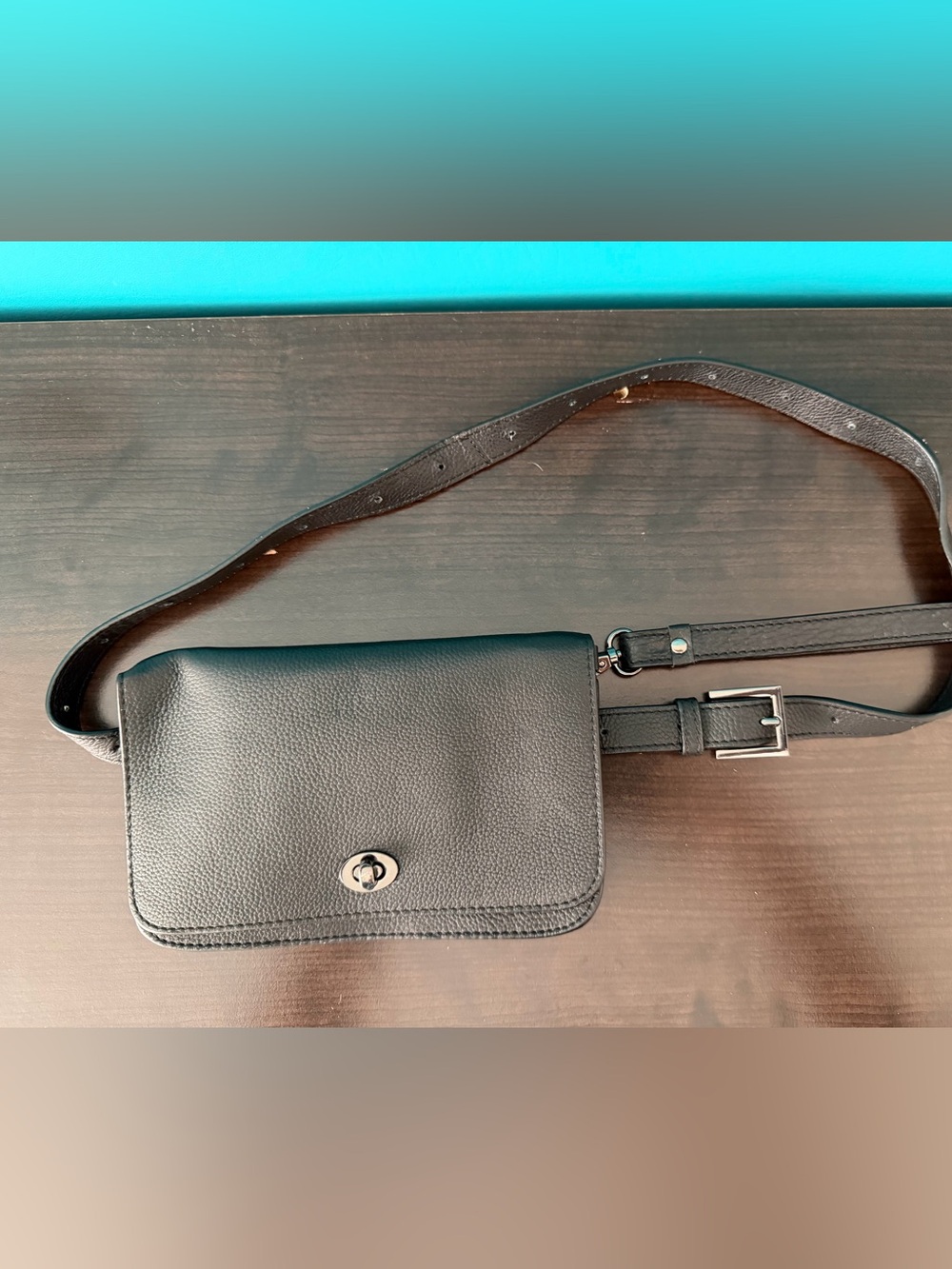 RACHEL Rachel Roy Black Leather Crossbody Belt Bag